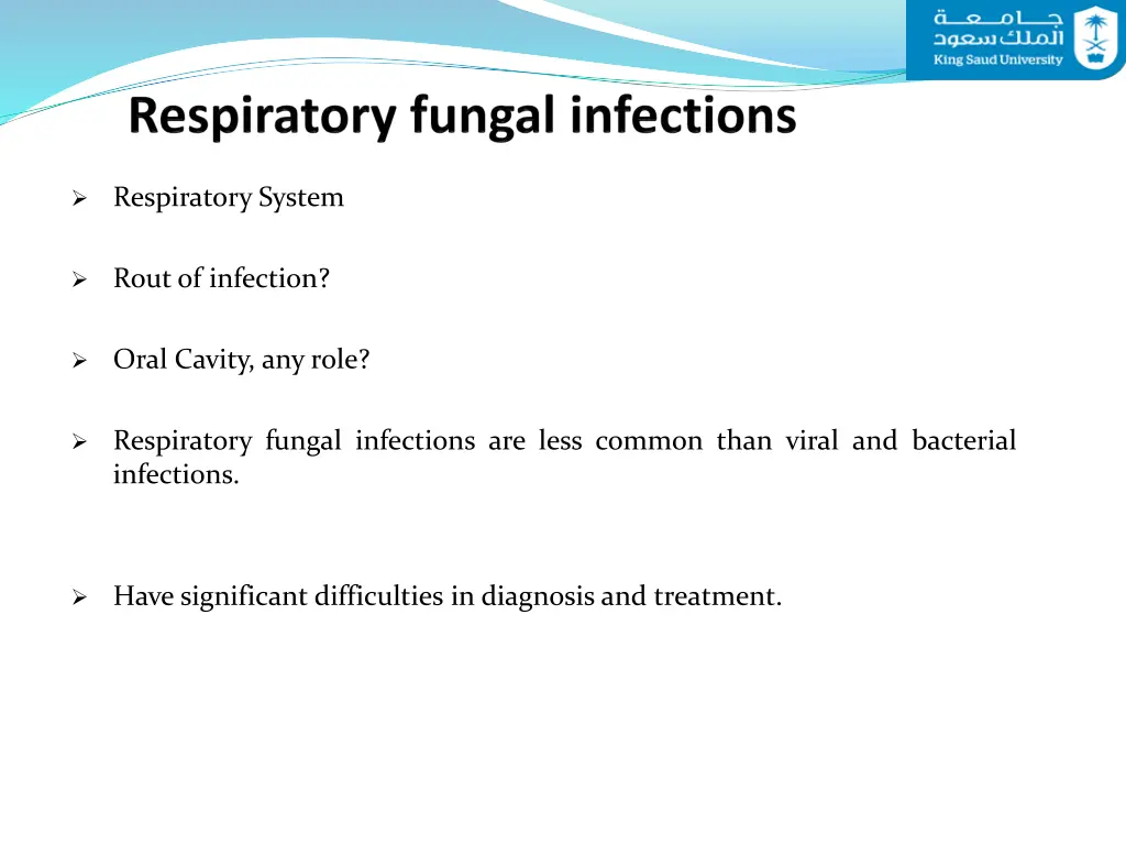 respiratory system
