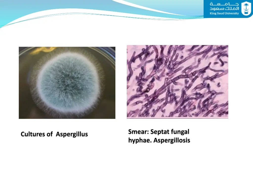 slide16
