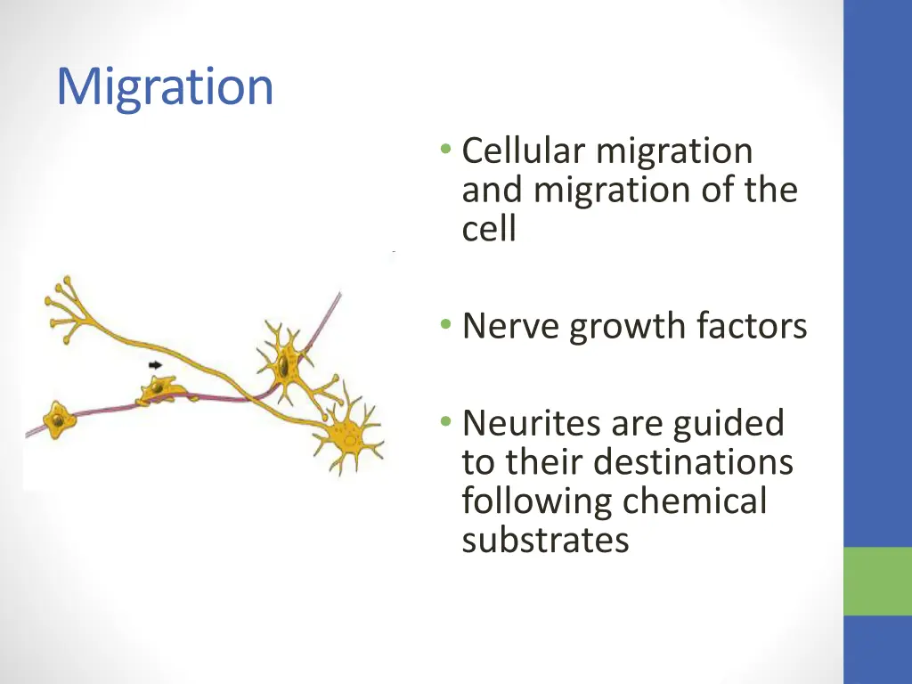 migration