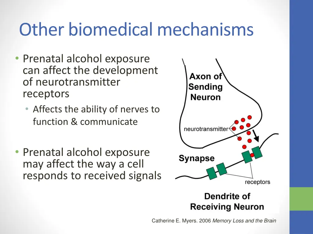 other biomedical mechanisms