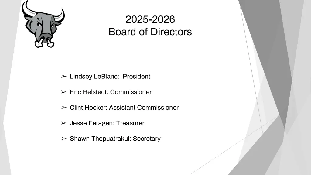 2025 2026 board of directors