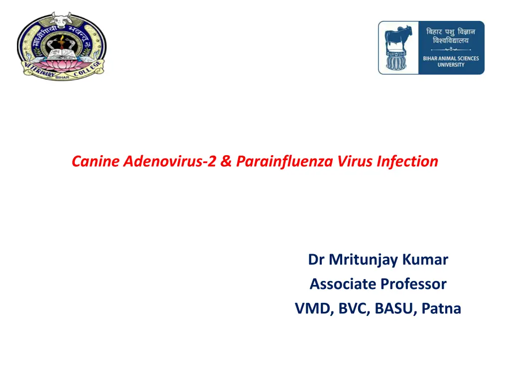 canine adenovirus 2 parainfluenza virus infection