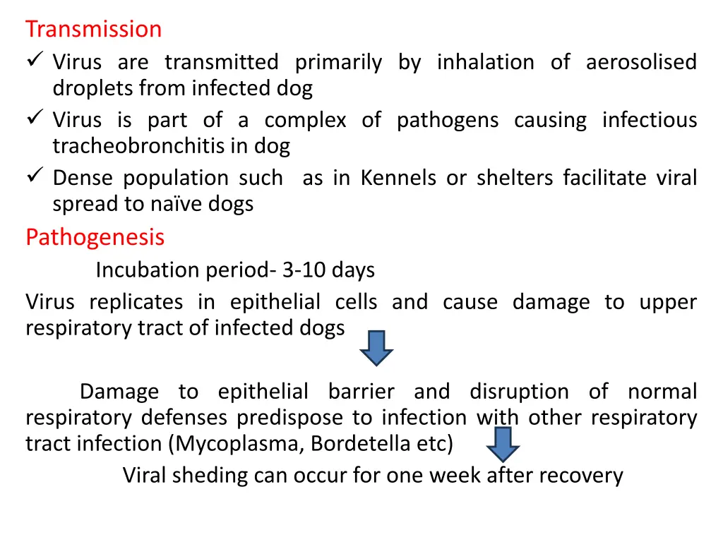 transmission virus are transmitted primarily