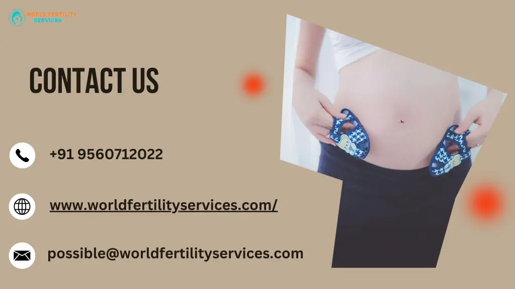 contact us