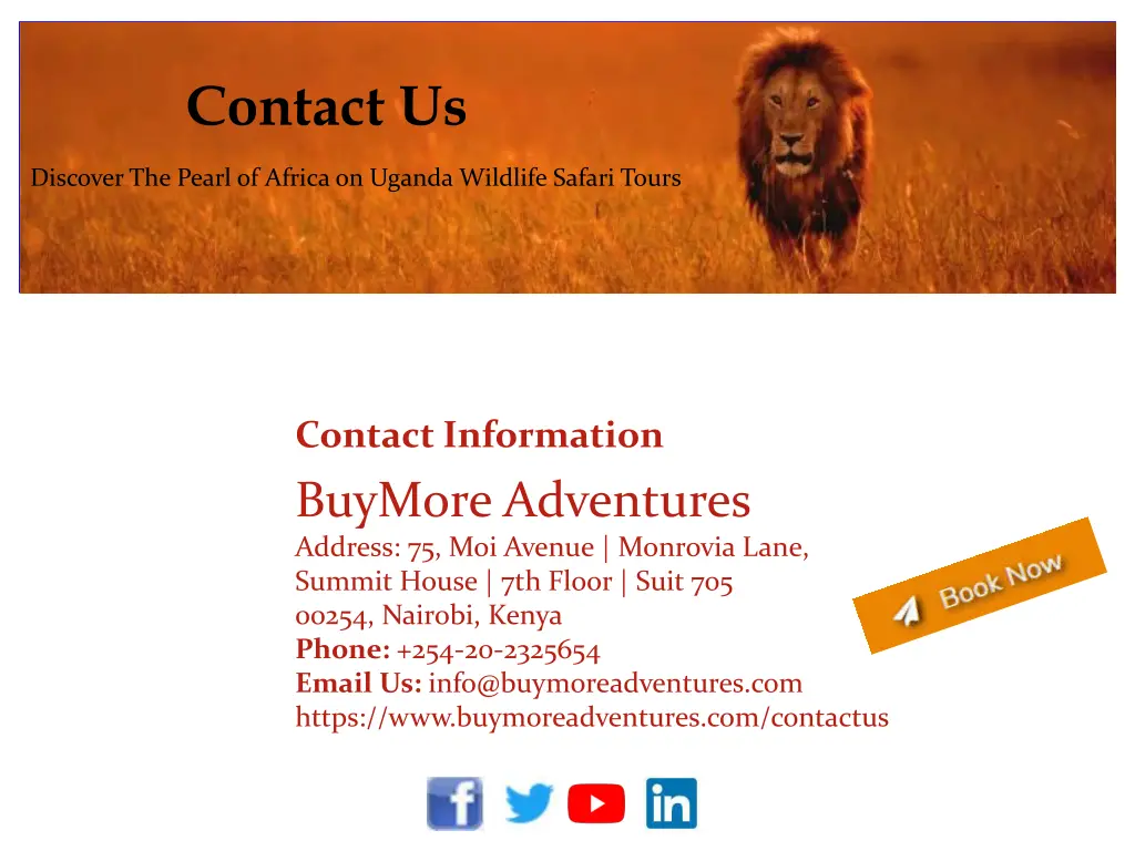 contact us