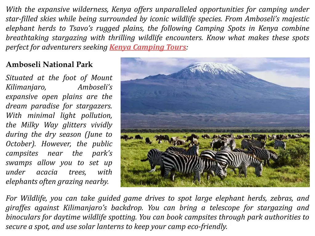 with the expansive wilderness kenya offers