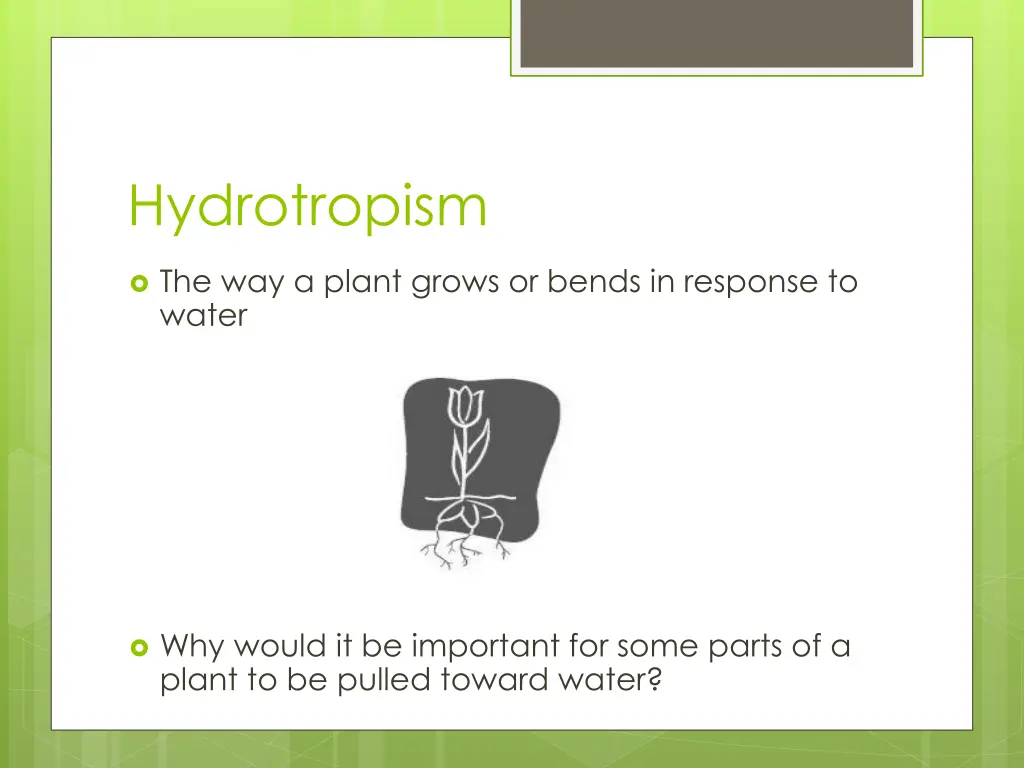 hydrotropism 1