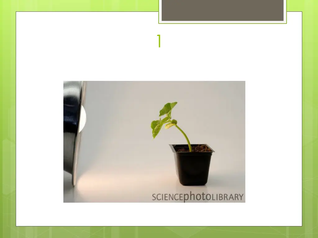slide20