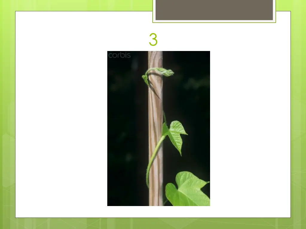 slide22