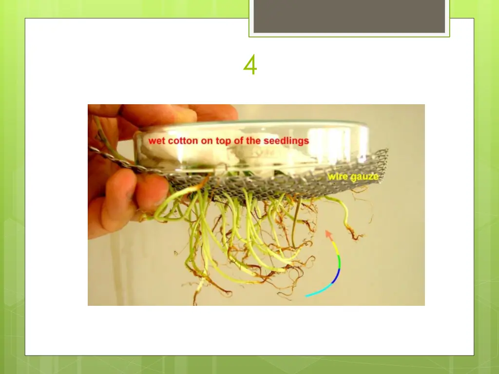 slide23