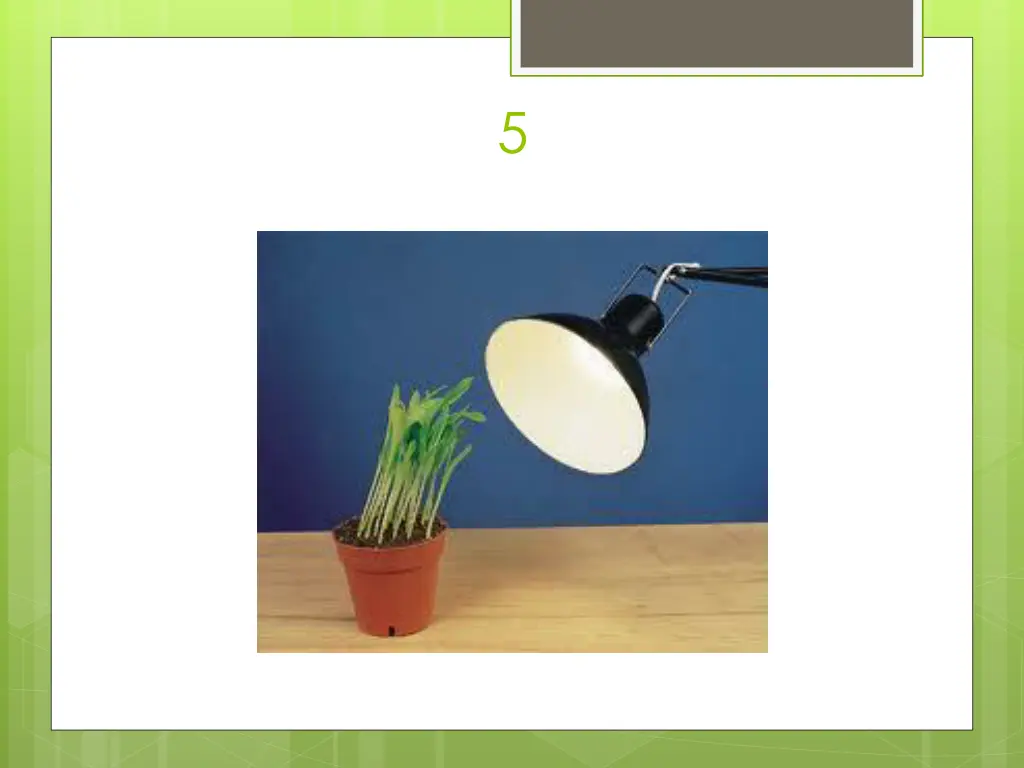 slide24