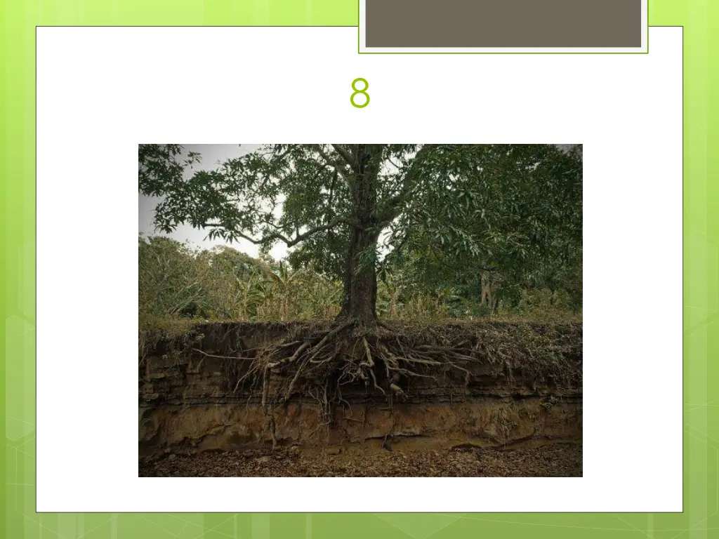 slide27