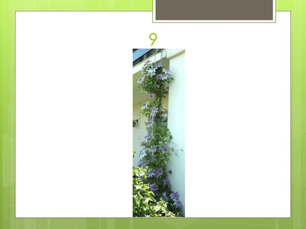 slide28