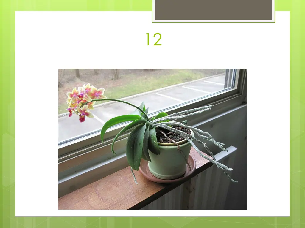 slide31