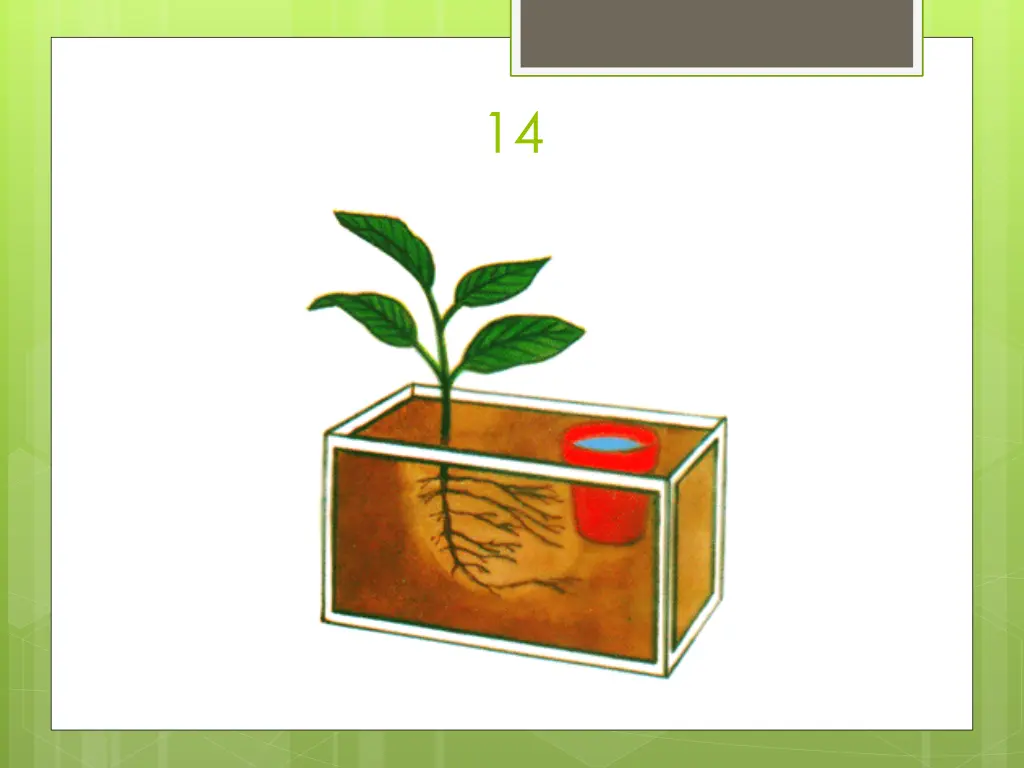 slide33
