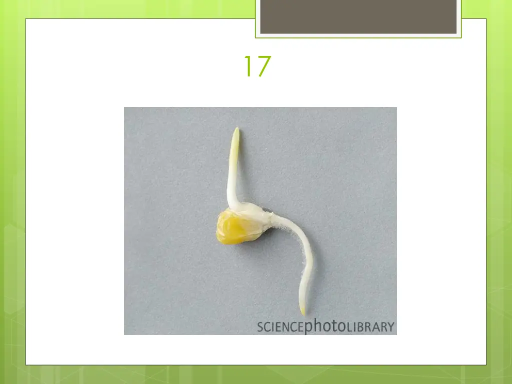 slide36
