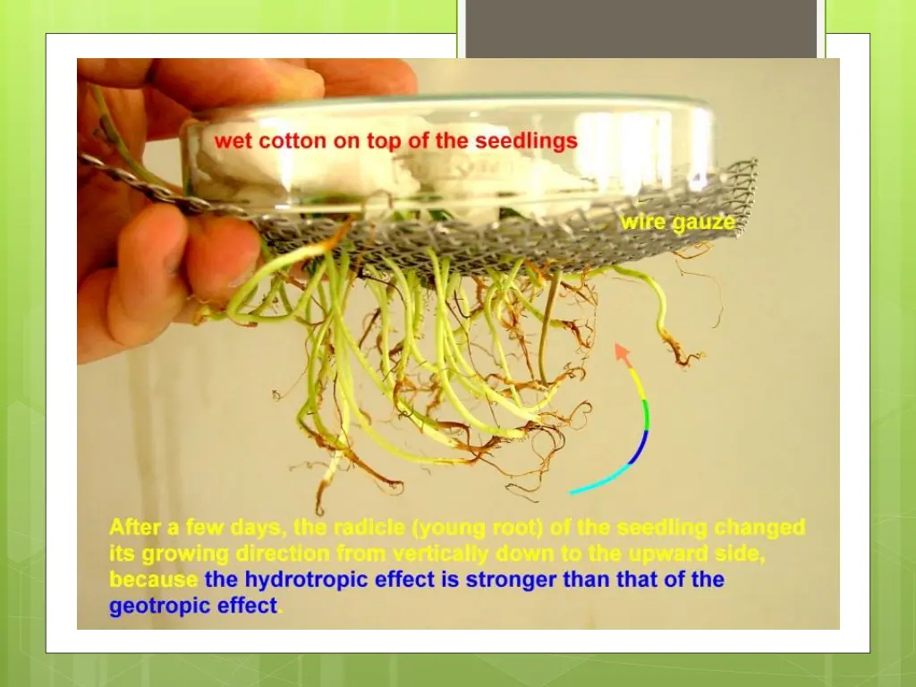 slide7