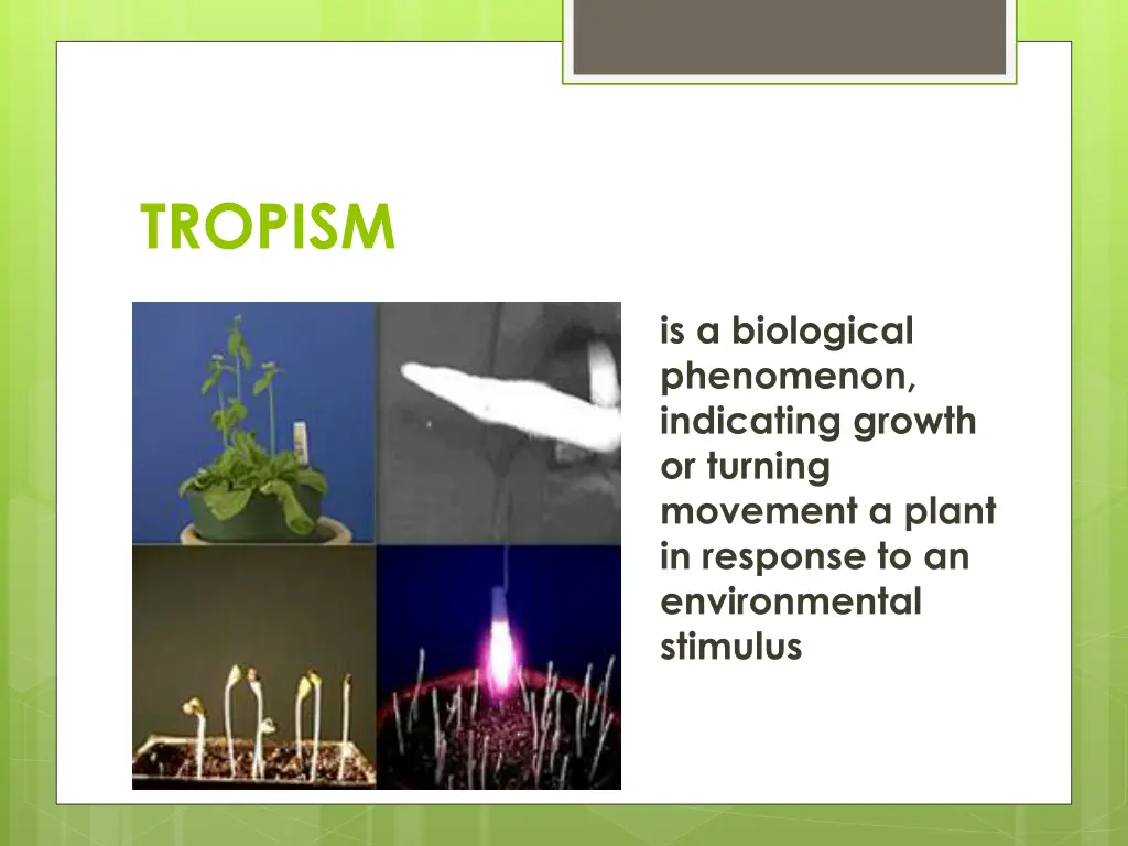 tropism