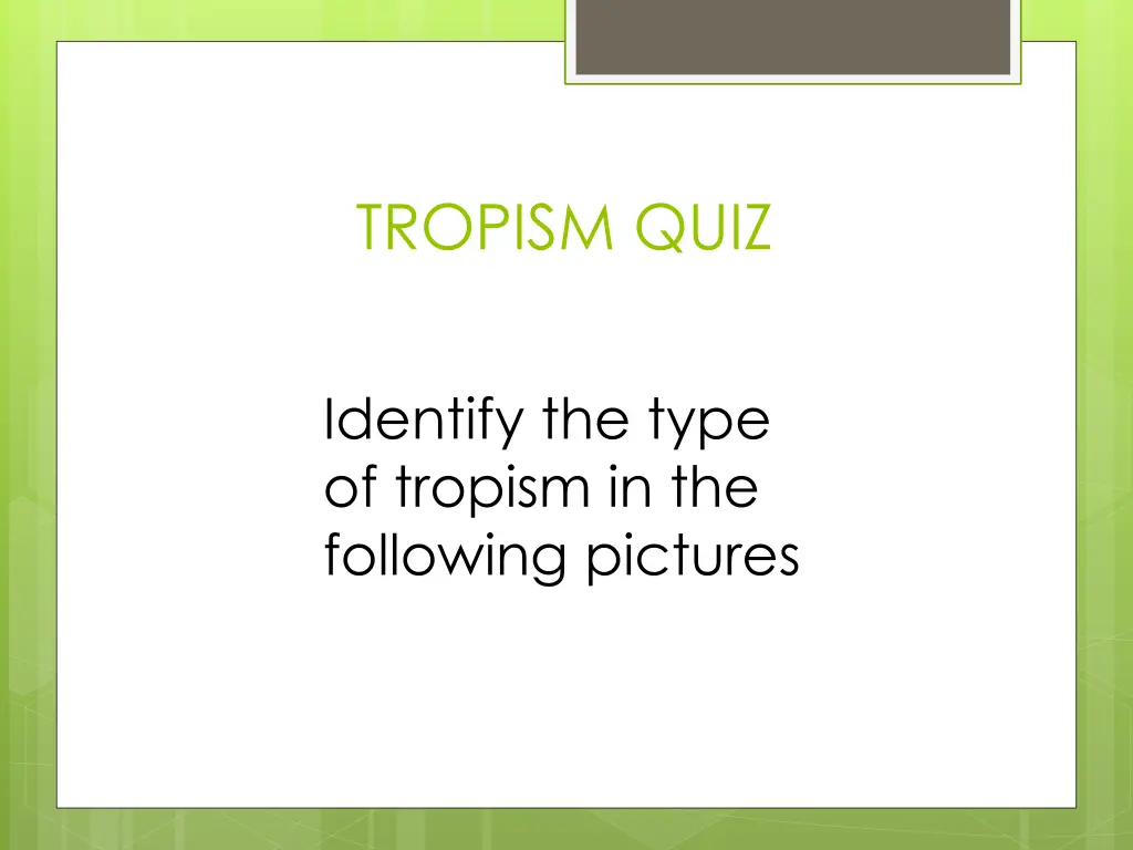 tropism quiz