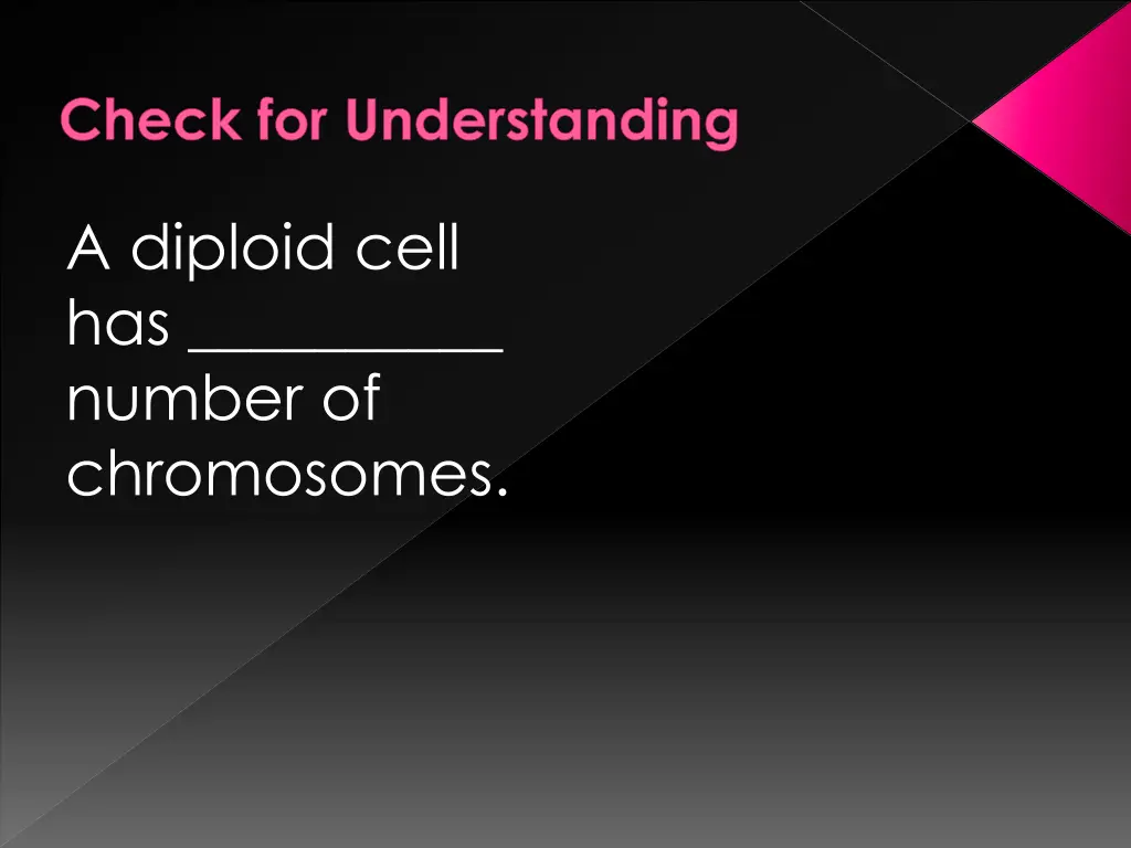 check for understanding