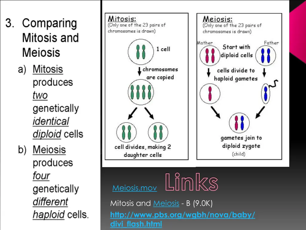 links