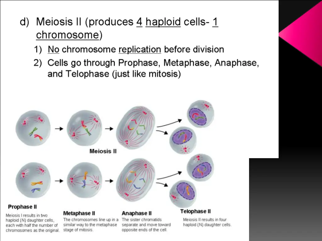 slide15