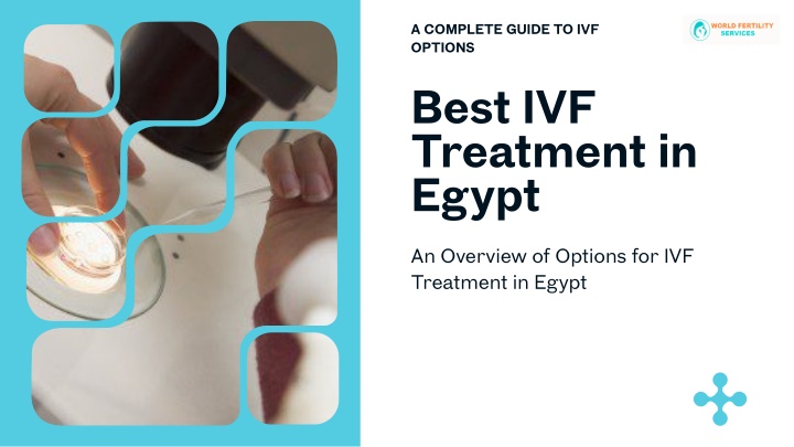 a complete guide to ivf options