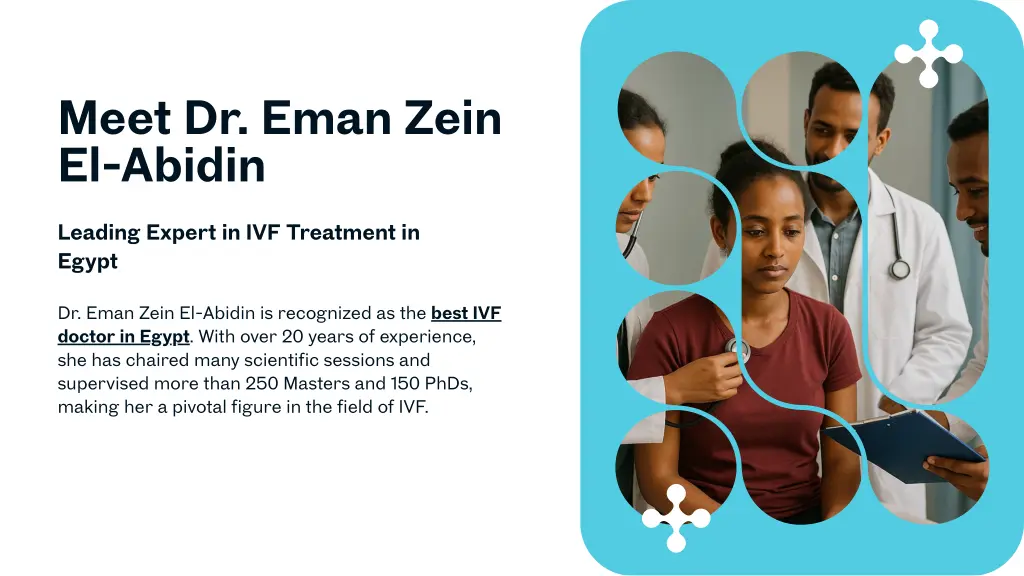 meet dr eman zein el abidin