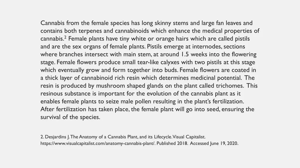 cannabis from the female species has long skinny