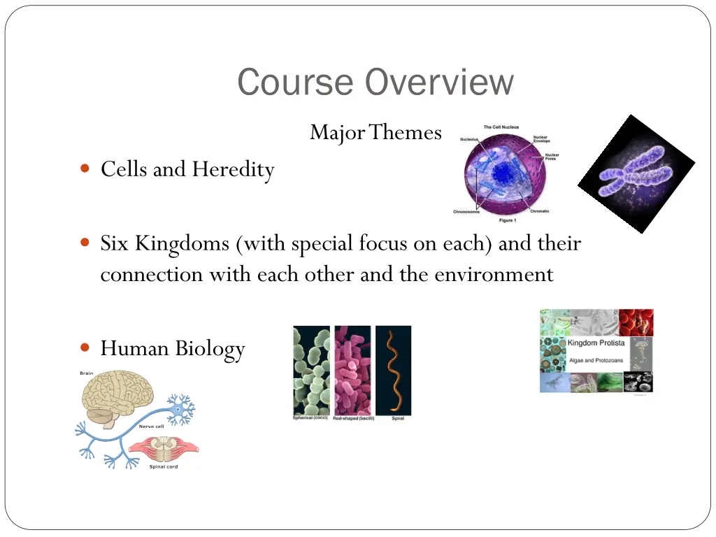 course overview