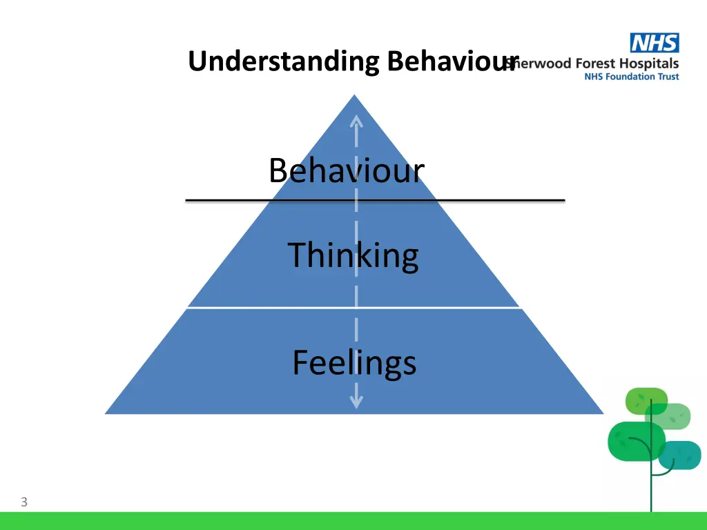 understanding behaviour