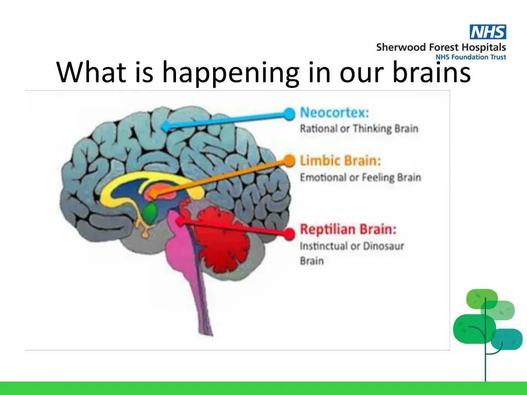 what is happening in our brains
