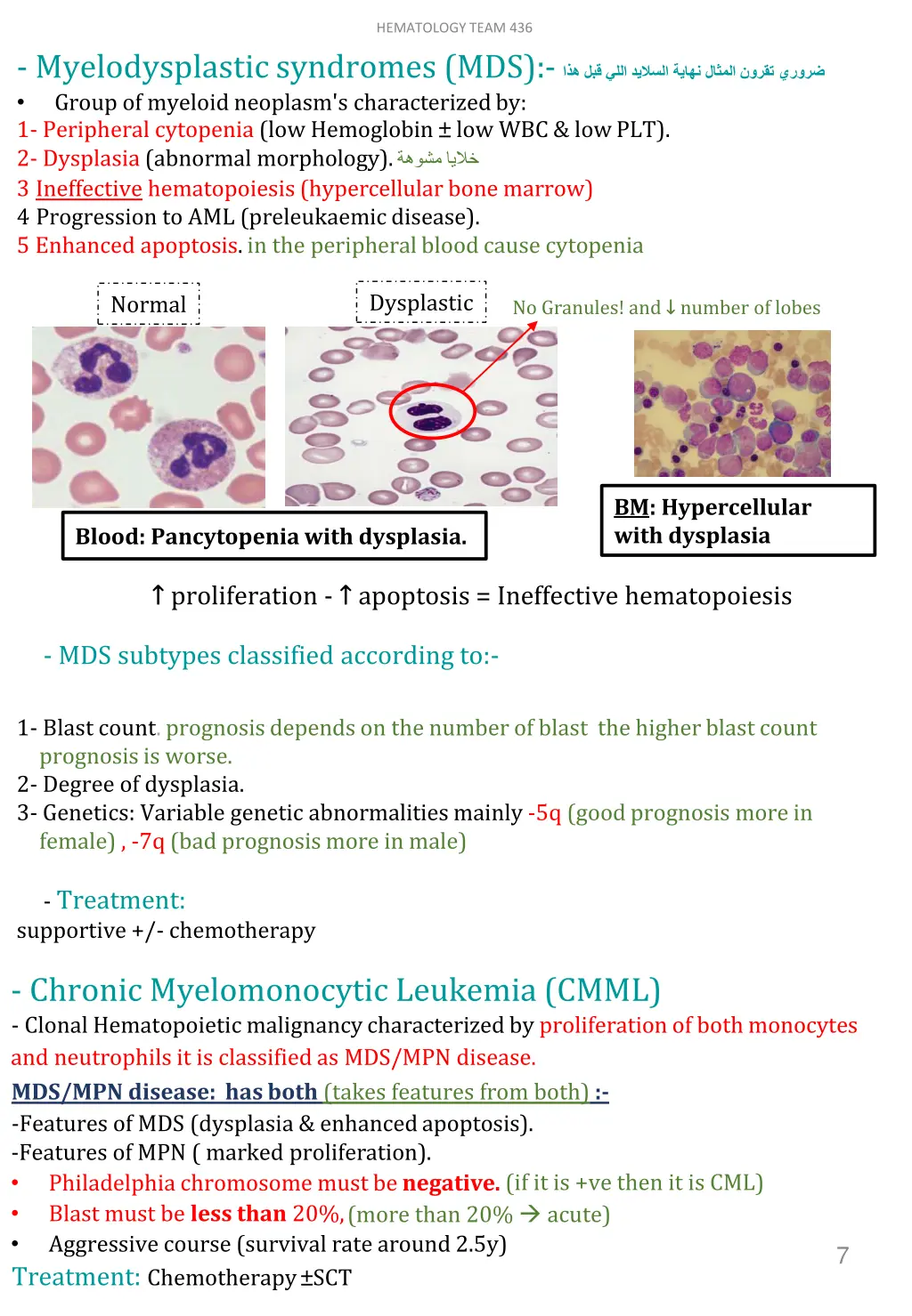 hematology team 436 5