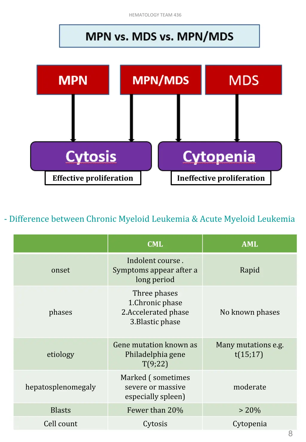 hematology team 436 6