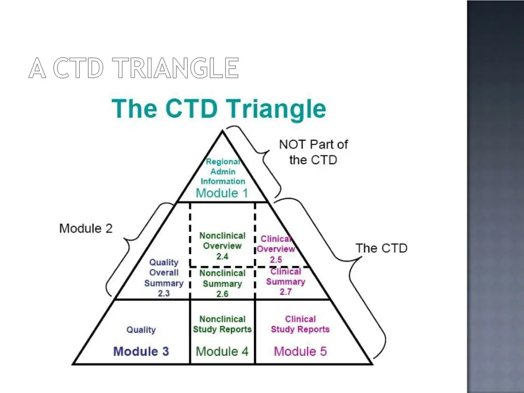 slide8