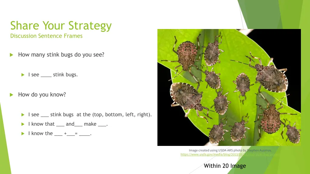 share your strategy discussion sentence frames 1