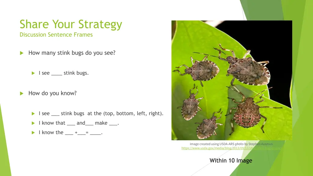 share your strategy discussion sentence frames