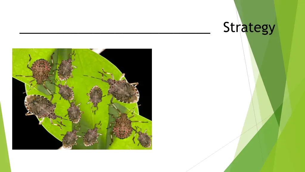 strategy 1