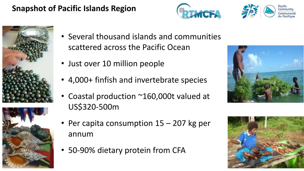 snapshot of pacific islands region