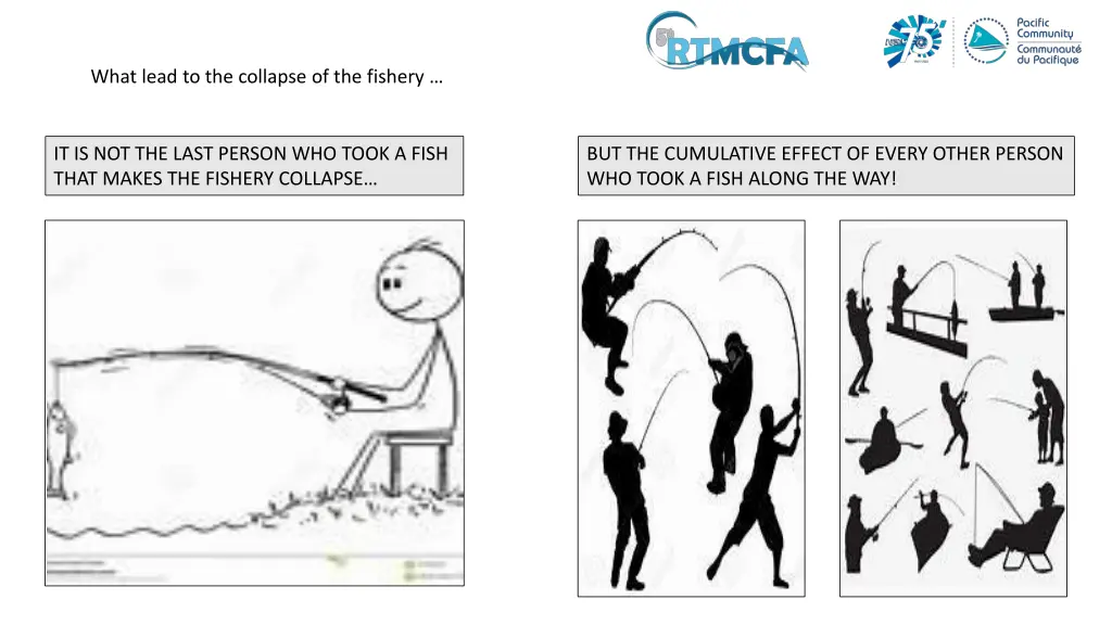 what lead to the collapse of the fishery