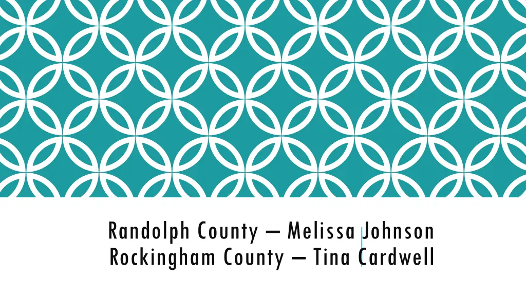 randolph county melissa johnson rockingham county