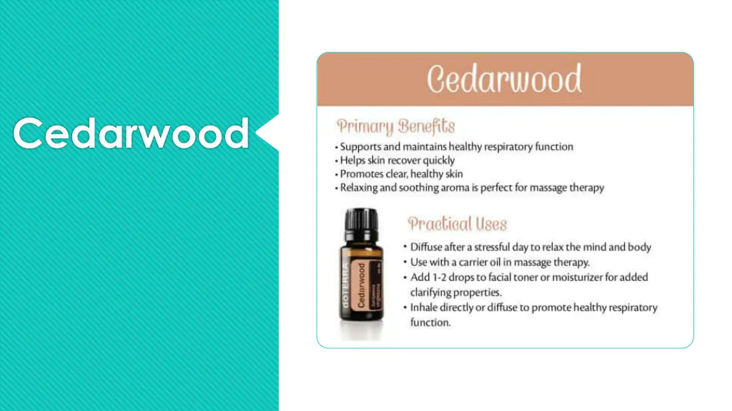 cedarwood