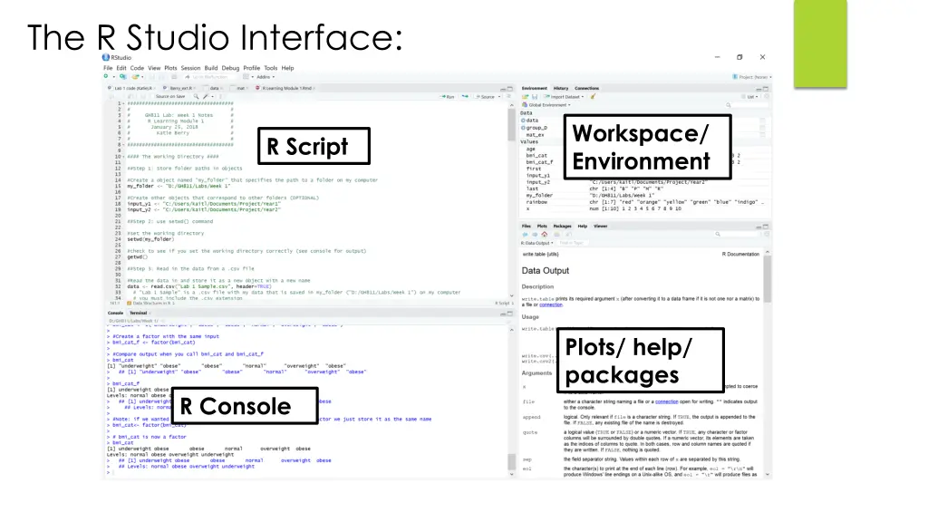 the r studio interface