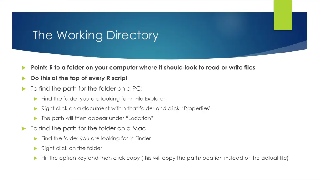 the working directory