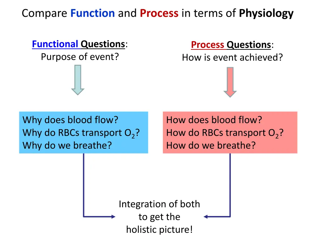 compare function and process in terms
