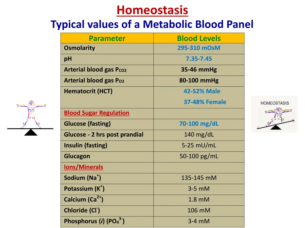 homeostasis