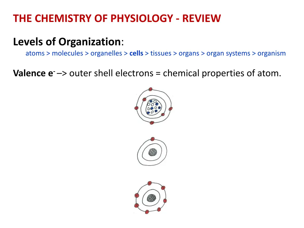 the chemistry of physiology review