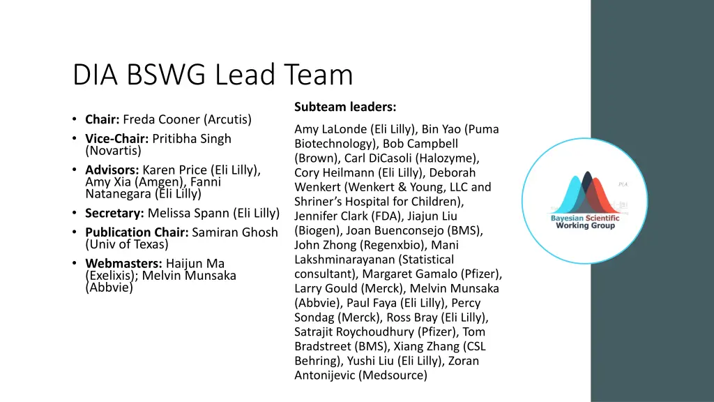 dia bswg lead team
