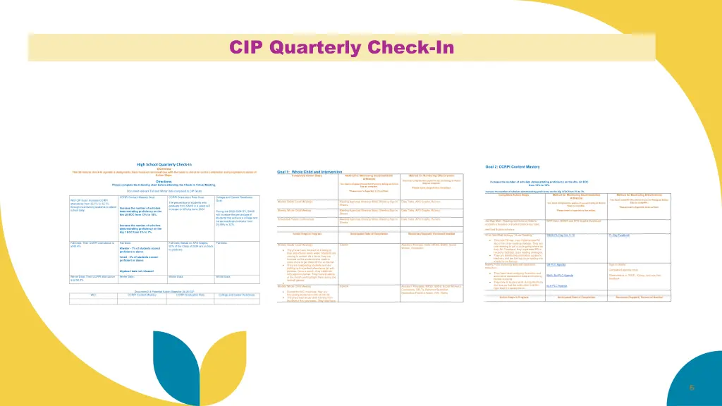cip quarterly check in