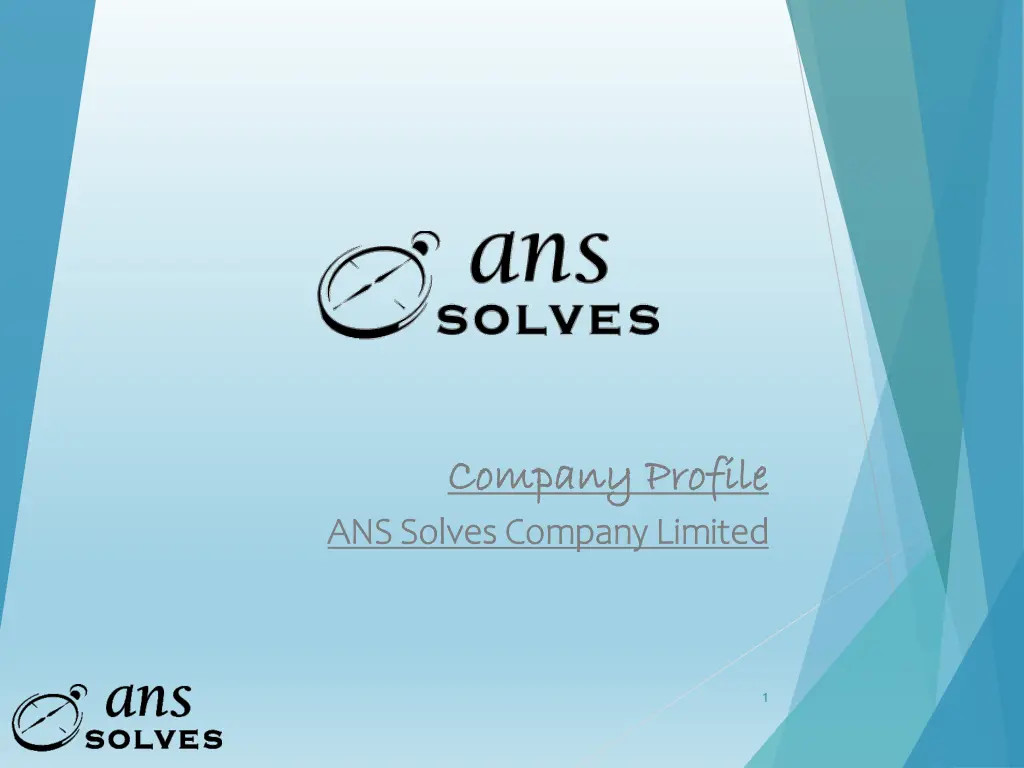 company profile company profile ans solves